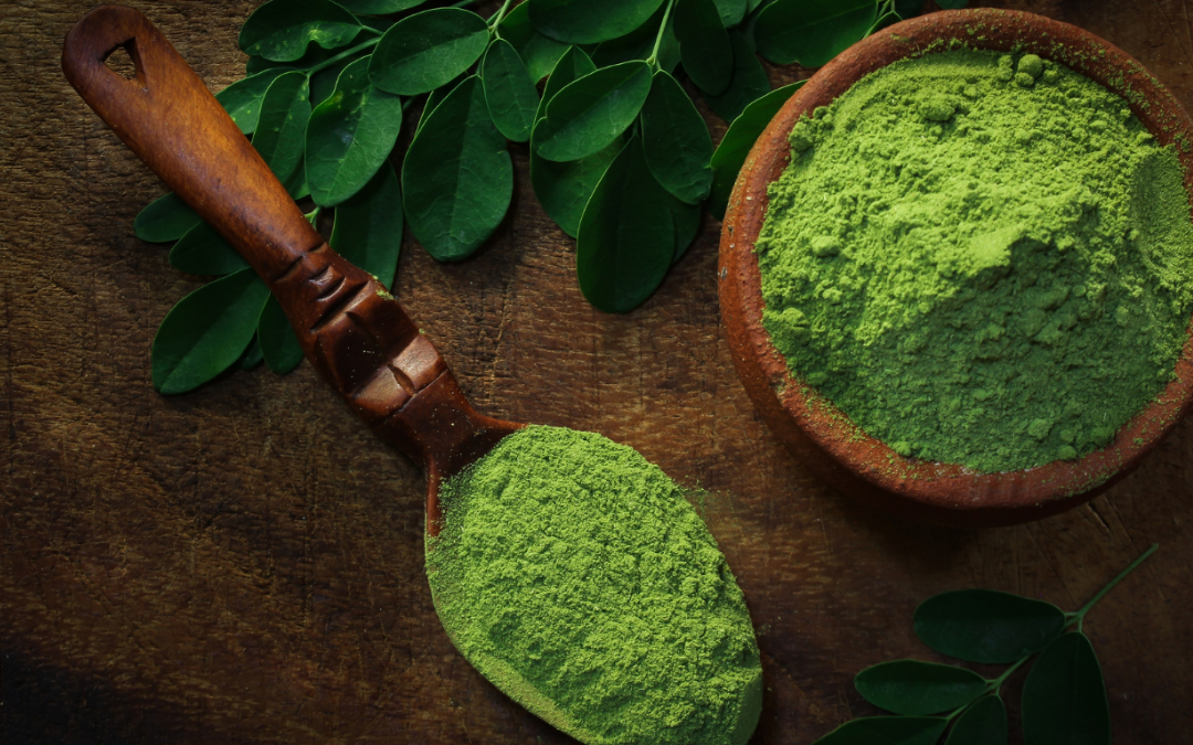 Moringa powder usage