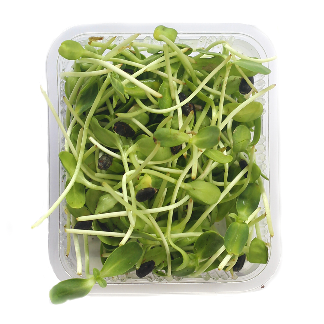 Sunflower Microgreens on Salad